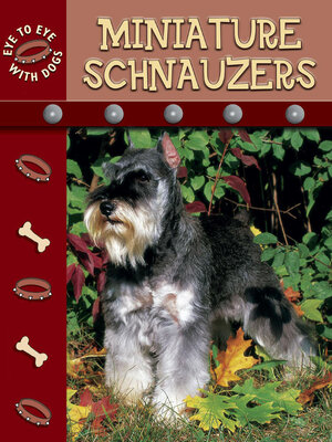 cover image of Miniature Schnauzer